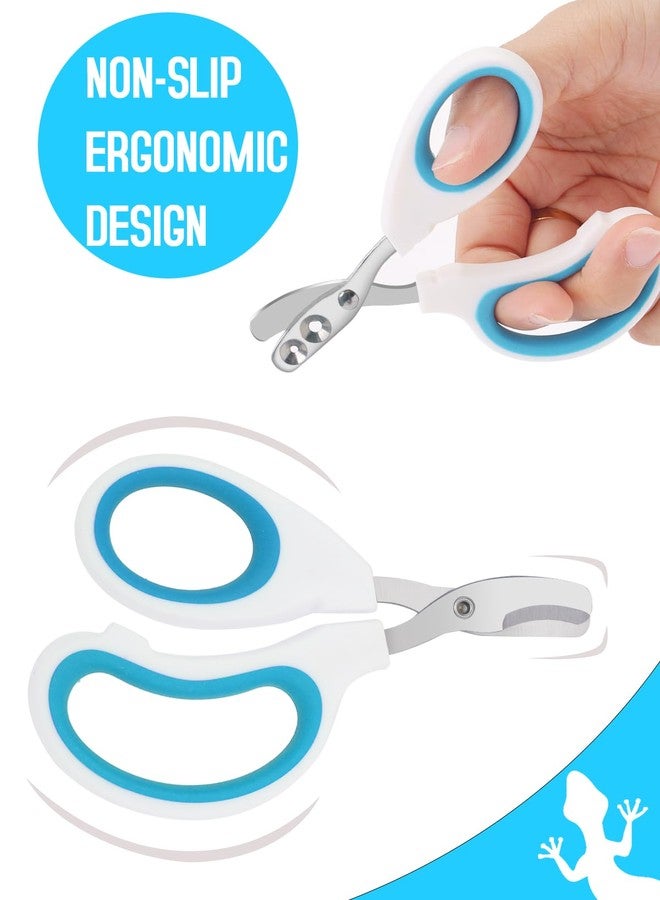 Engorgio Stainless Steel Bearded Dragon Nail Clippers,Lizard Nail Clippers,Bearded Dragon Supplies,Bearded Dragon Nail Scissors for Small Reptiles,Turtle,Chameleon,Iguana，Hedgehog（Blue） - Image 3